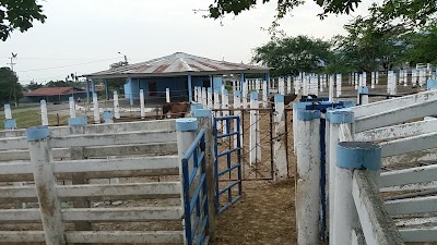 Photos of Coliseo de Ferias