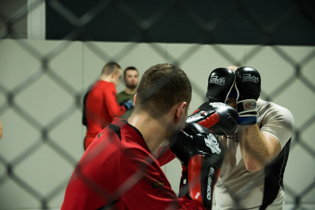 https://mmaacademykrakow.pl/
