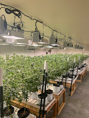 Photo of Prairie State Hemp