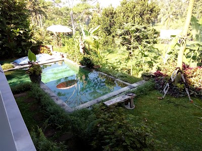 Photos of Matahari Lumbung's Bungalow