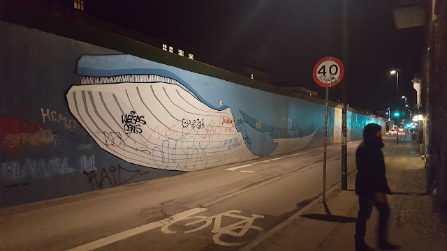 Riga boden