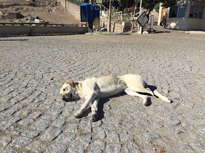 Photos of Akropolis