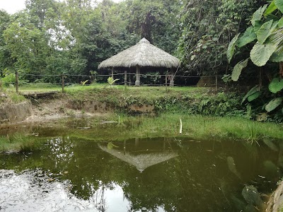 Photos of Jard&iacute;n Bot&aacute;nico Universidad de Caldas