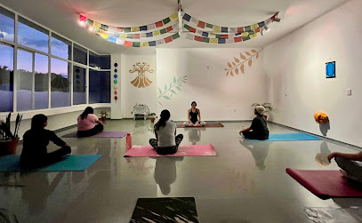 Alquimia Centro Holístico