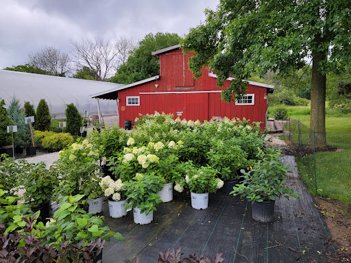 In Bloom Greenhouse - Thumbnail