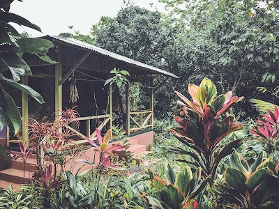 lodging