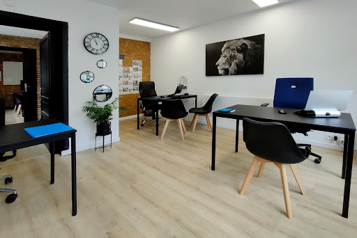 King immobilier (Eric J immobilier) - La Varenne Les Muriers