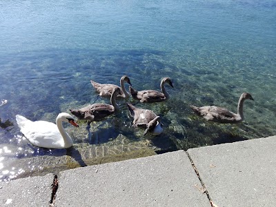 Photos of Summer Bar Galeb