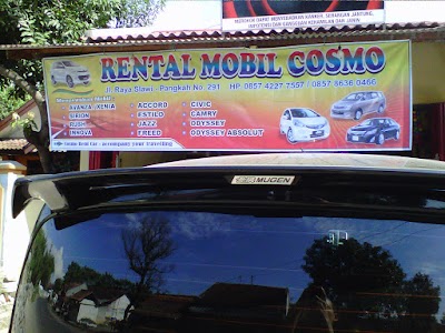 Photos of Cosmo