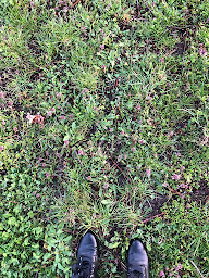 Photo n°13 de Domaine Léon HEITZMANN - Vin d'Alsace Bio Colmar Ammerschwihr à Ammerschwihr (Établissement vinicole)