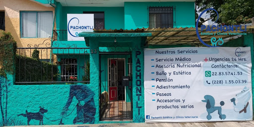 Pachontli estética y clínica veterinaria.