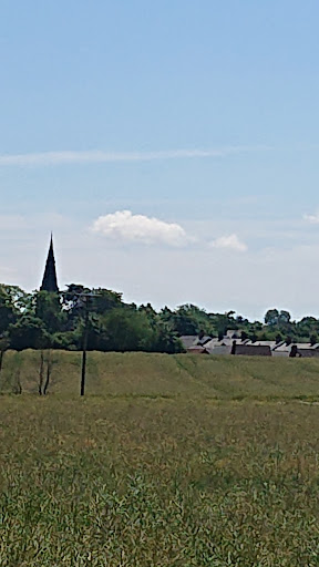 Halstead Park - Visual