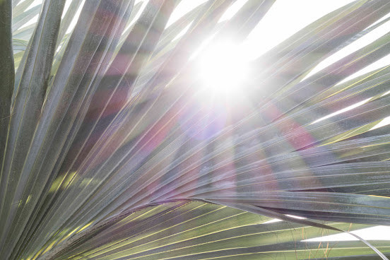 Le Shambala Lodge by null