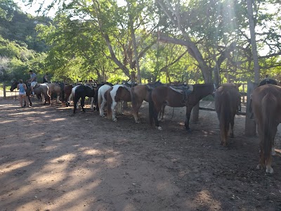 Photos of Tropical Trail Rides