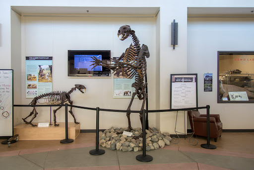 Gateway Science Museum - Thumbnail