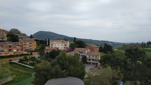 Il Pane di Serafino - Thumbnail
