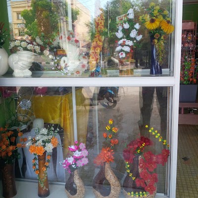 Photos of Rumah Bintang