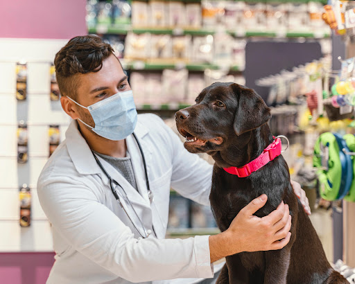 Veterinario Eric | Clínica Veterinaria en Tulancingo