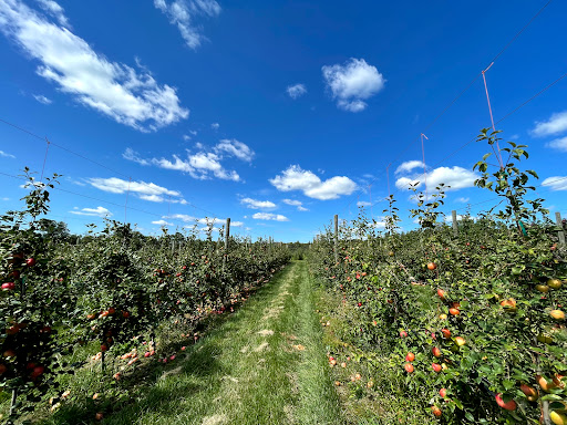Terhune Orchards Pick Your Own Apple Orchard Gallery - United States
