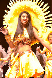 Photo n°13 de Top Brésil à Laval (Salle de danse)