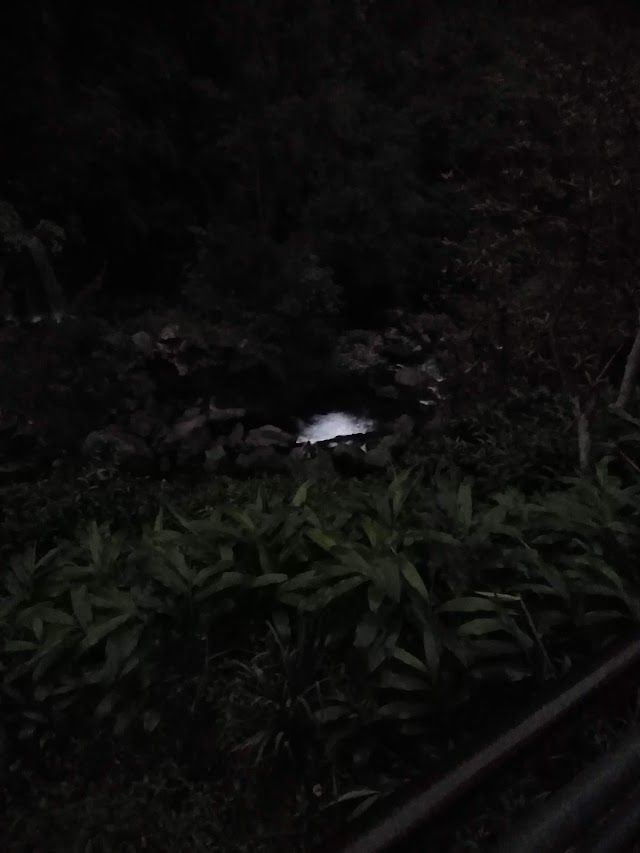 Parc De La Grande Cascade
