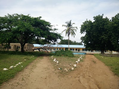 school