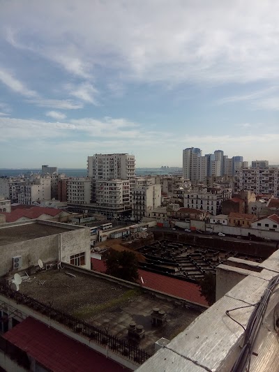 Photos of Aissat Idir