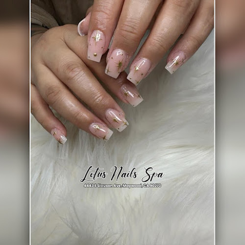Lotus Nails Spa interior view
