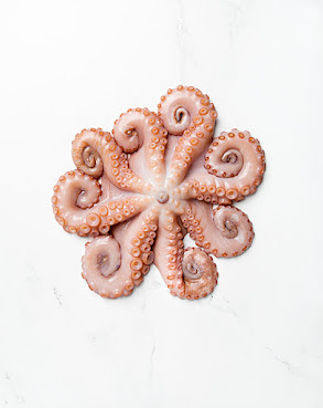 City Fish Co. by null