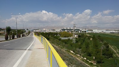car-rental