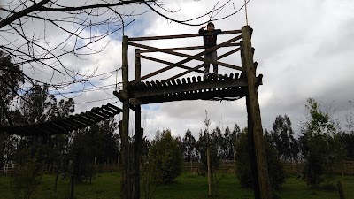 Photos of Centro de Eventos Los Canelos