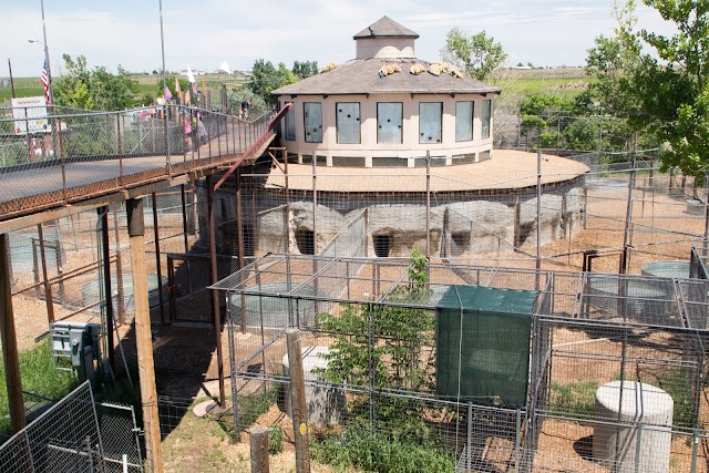 The Wild Animal Sanctuary