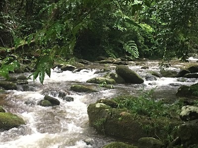 Photos of Misty Mountains Rainforest Retreat