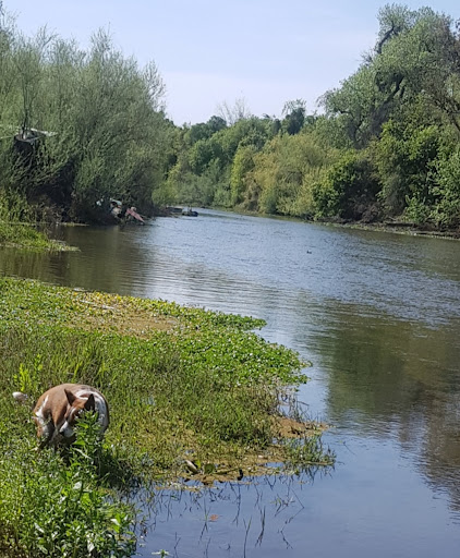 Riverdale Park and Fishing Access - Thumbnail