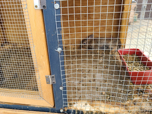 El Rancho Animal Feed Store - Thumbnail