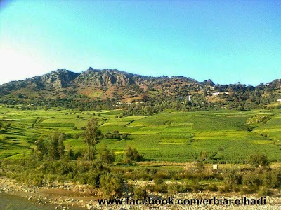Photos of Moulay Youssef Garden