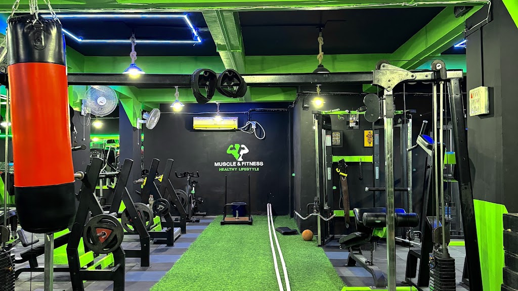 Muscle Fitness Gym