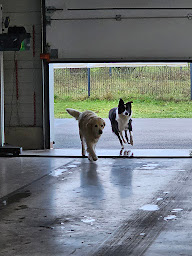 Photo n°8 de AS Auto Sécurité Contrôle Technique à Flixecourt (Centre de contrôle technique)