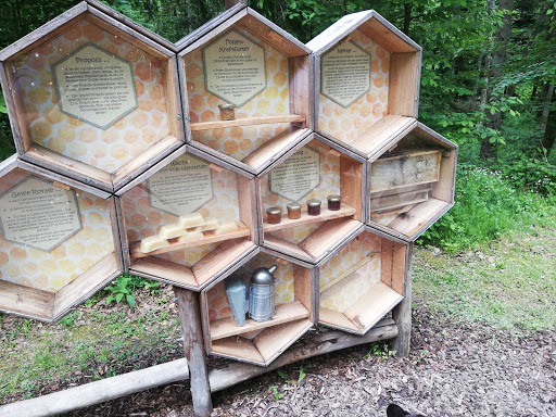 Urbach forest adventure path Gallery - Germany