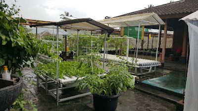 Photos of Joglo Ndeso Restaurant & Hydroponics Garden