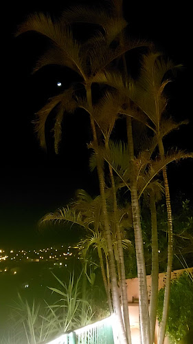 Inn & Art Madeira Hotel and Restaurant - Hotel