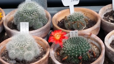 Photos of Kaunas Botanical Gardens