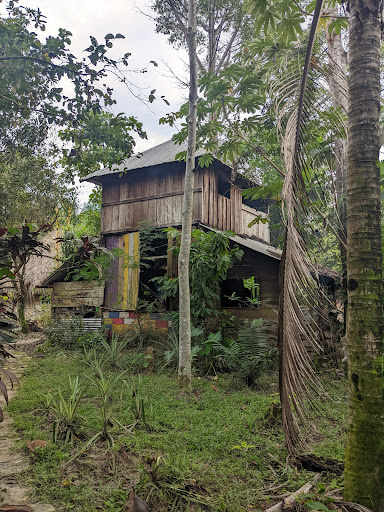 El Ceibo - Visual