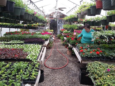 Country Marketplace Florist & Greenhouse