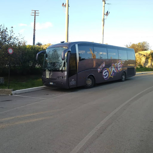 Autoservizi New Sae Noleggio Bus - Thumbnail