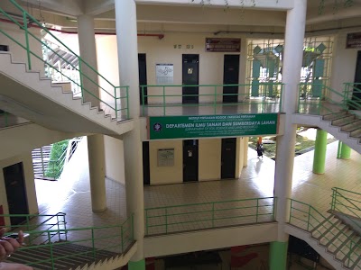 university