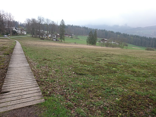 Holzsteg - Visual