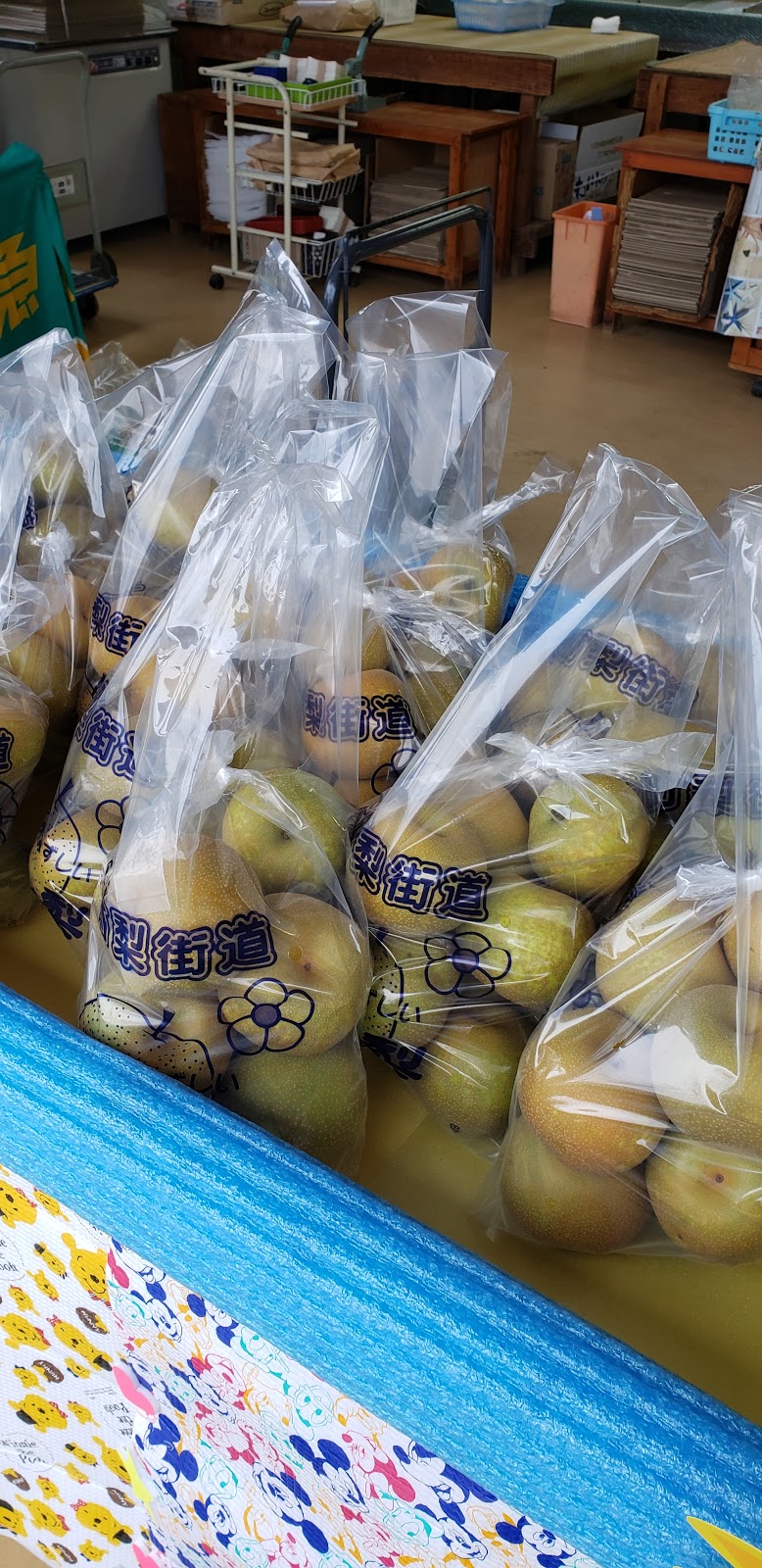 石井安五郎梨園