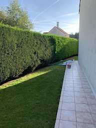 Photo n°27 de m.DAVID Elagueur🌲 jardinier 🌳 à Cergy (Service d'élagage)