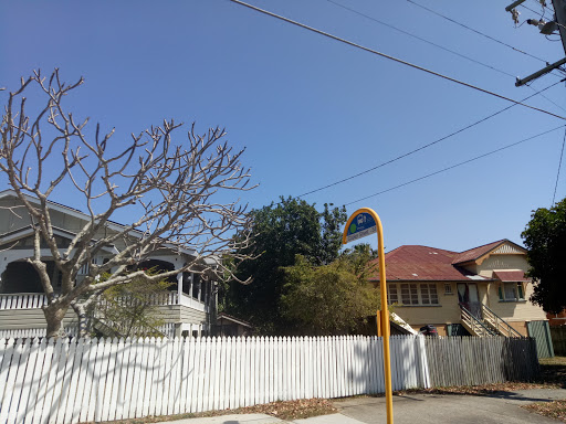 Tarragindi Rd at Cosker Street, stop 34 - Thumbnail